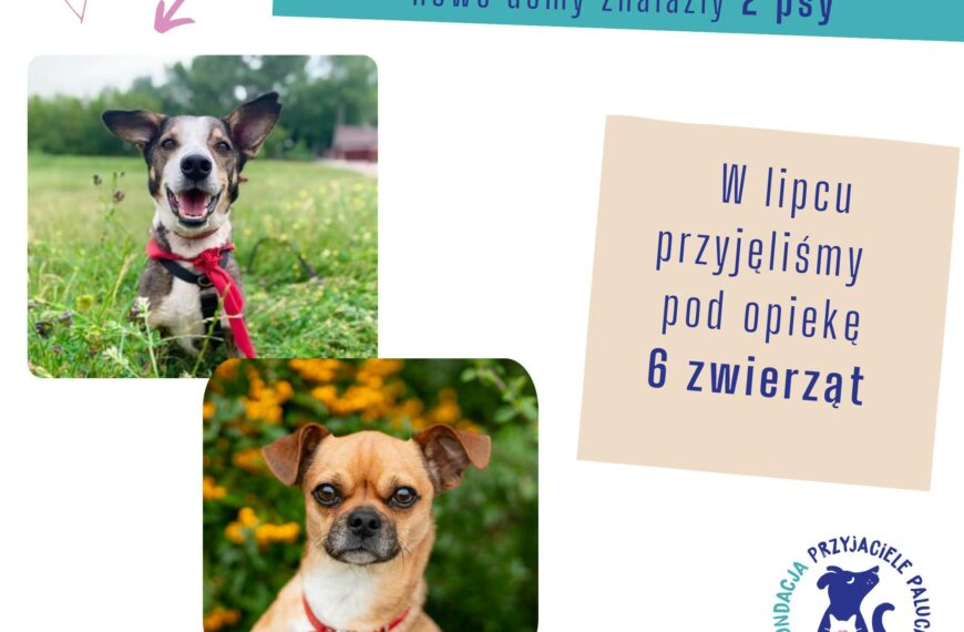 Podsumowanie lipca