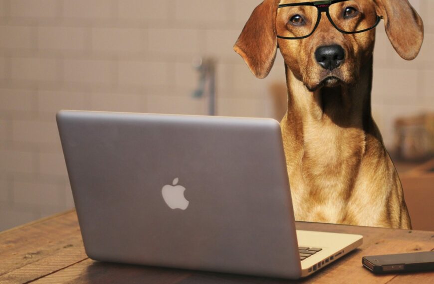 Pies w biurze – zalety i wyzwania dog-friendly workplace