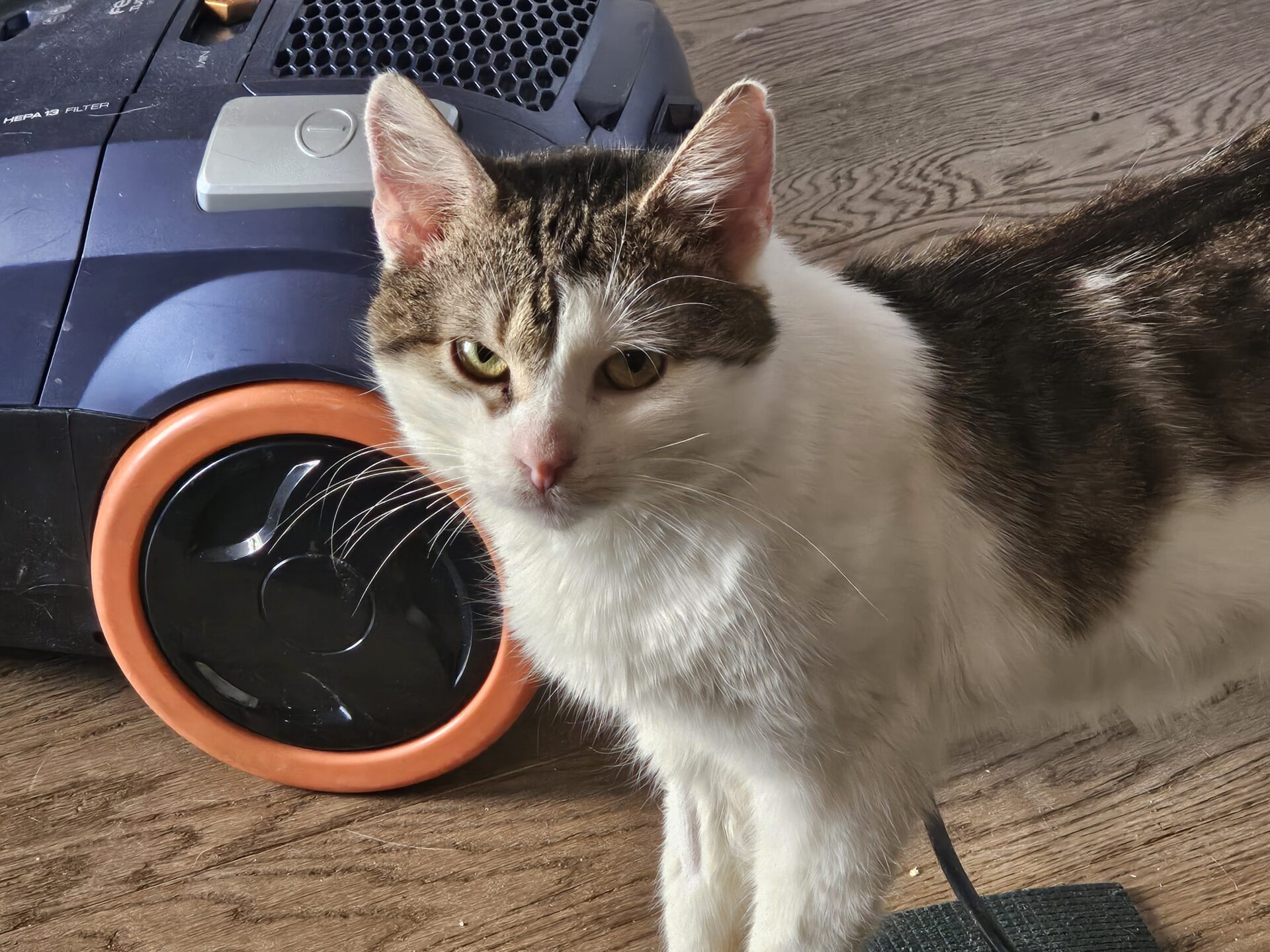 Lolek i jego droga do zdrowia