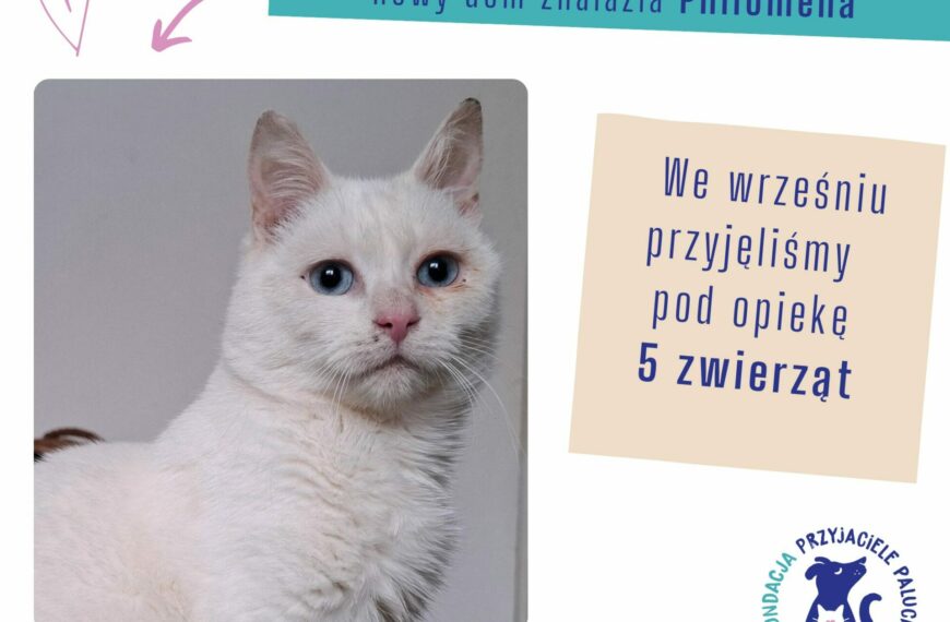 Podsumowanie września