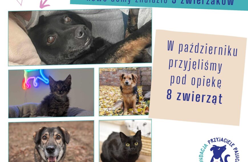 Podsumowanie października