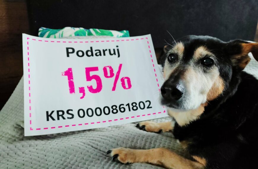 5 powodów, żeby przekazać 1,5%&hellip;