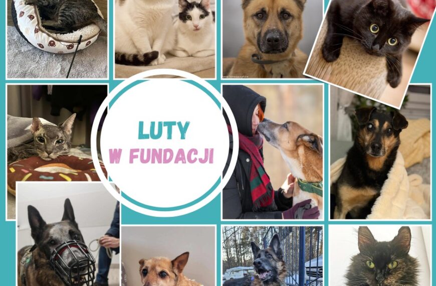 Luty w Fundacji