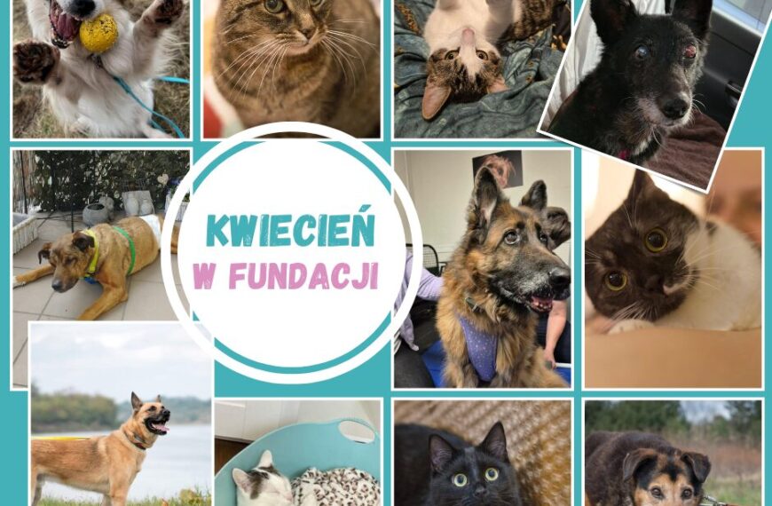 Minął kwiecień…