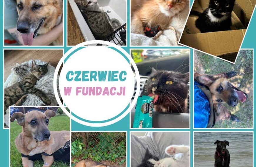 Gorrrrrący czerwiec