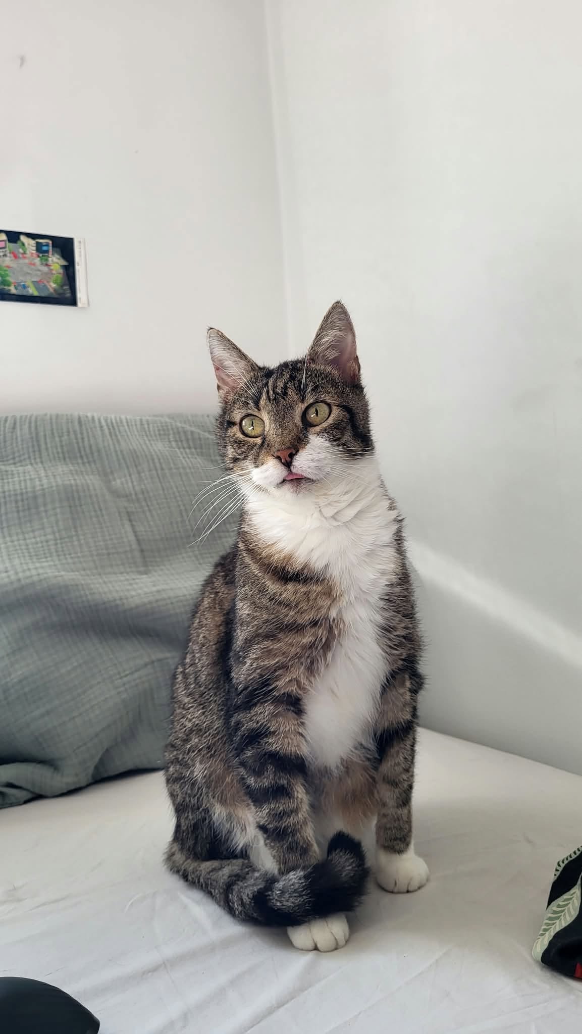 Benita