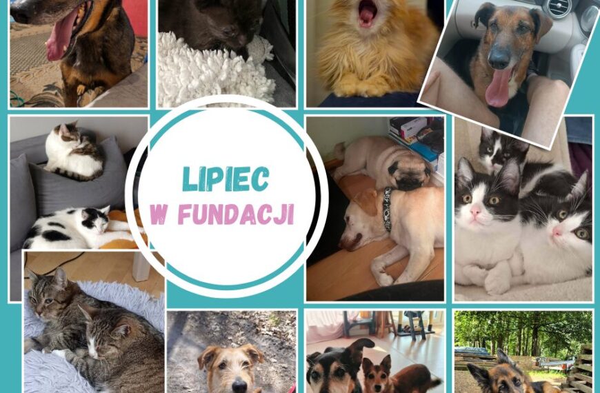 Tak nam minął lipiec